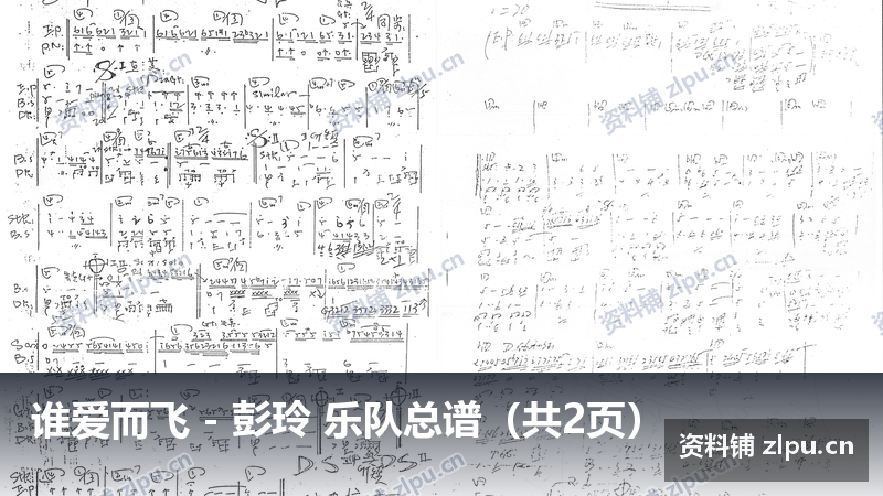 谁爱而飞 - 彭玲 乐队总谱（共2页）-资料铺