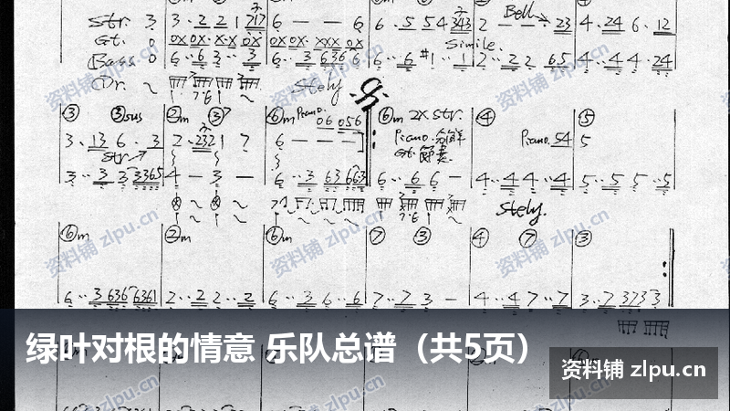 绿叶对根的情意 乐队总谱（共5页）-资料铺
