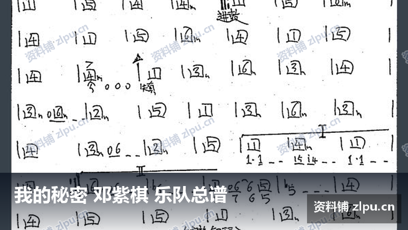 我的秘密 邓紫棋 乐队总谱-资料铺