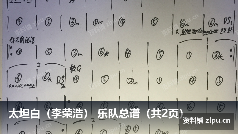 太坦白（李荣浩） 乐队总谱（共2页）-资料铺