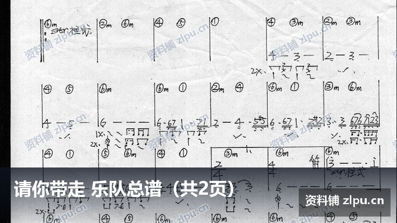 请你带走 乐队总谱（共2页）-资料铺