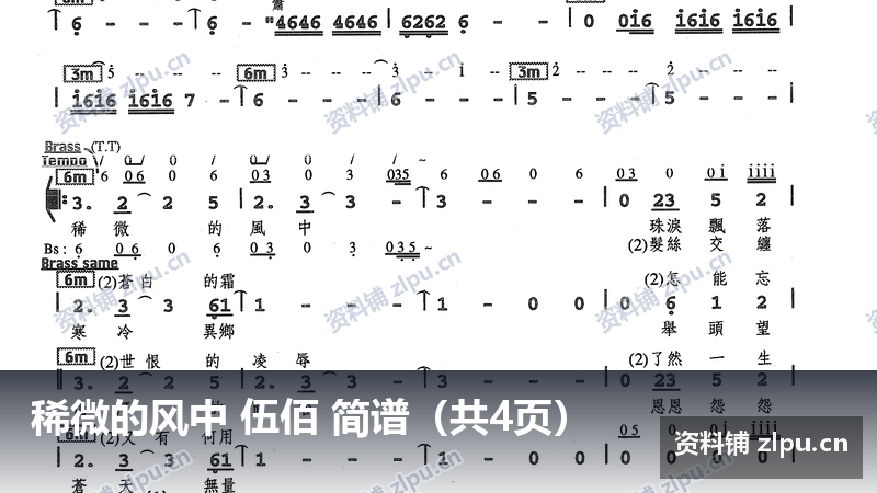 稀微的风中 伍佰 简谱（共4页）-资料铺