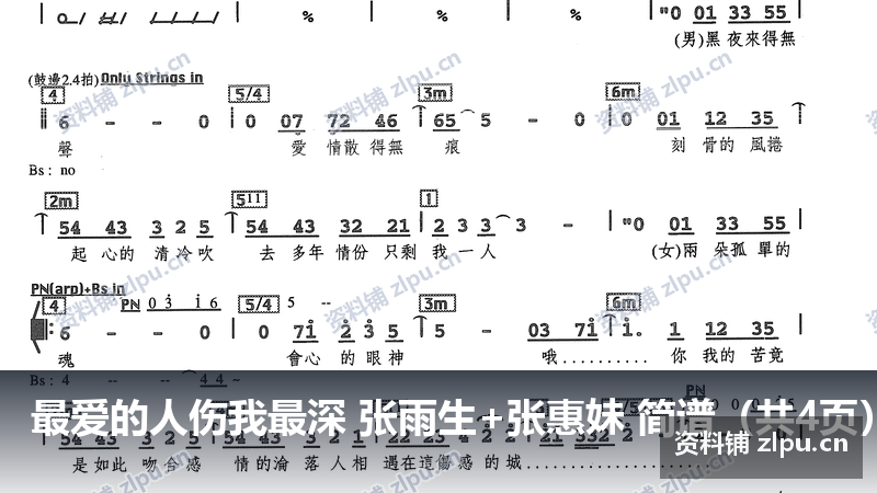 最爱的人伤我最深 张雨生+张惠妹 简谱（共4页）-资料铺