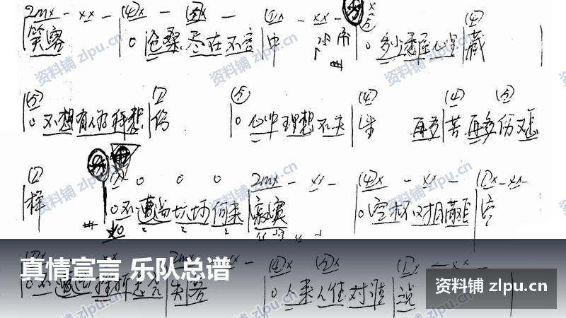 真情宣言 乐队总谱-资料铺
