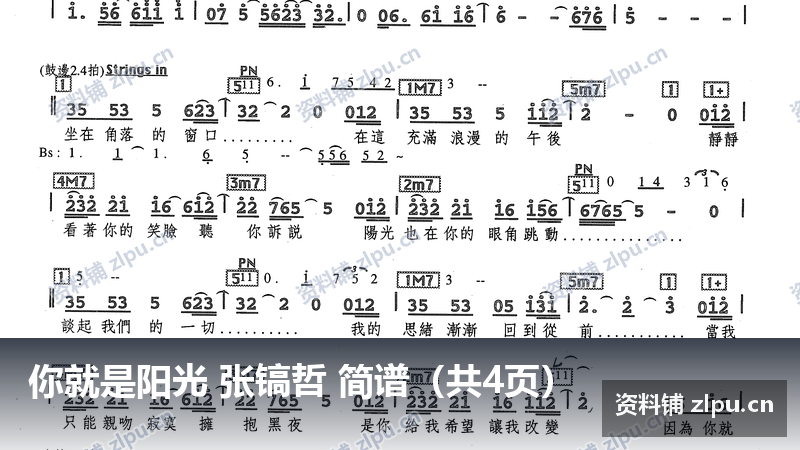 你就是阳光 张镐哲 简谱(共4页)-资料铺