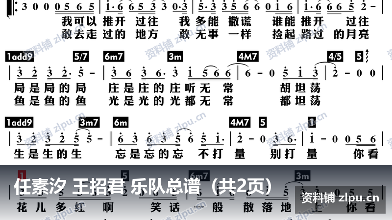 任素汐 王招君 乐队总谱(共2页)-资料铺