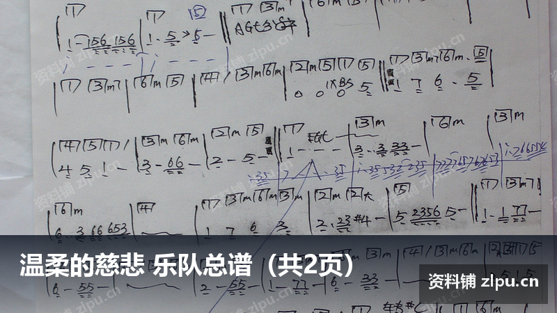 温柔的慈悲 乐队总谱(共2页)-资料铺