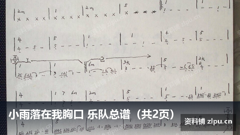 小雨落在我胸口 乐队总谱（共2页）-资料铺