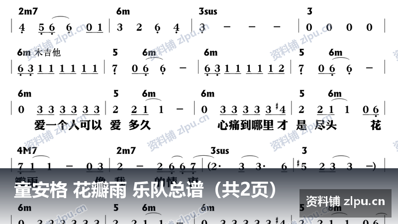 童安格 花瓣雨 乐队总谱(共2页)-资料铺