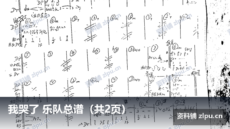 我哭了 乐队总谱（共2页）-资料铺