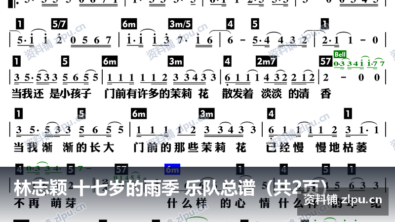 林志颖 十七岁的雨季 乐队总谱（共2页）-资料铺