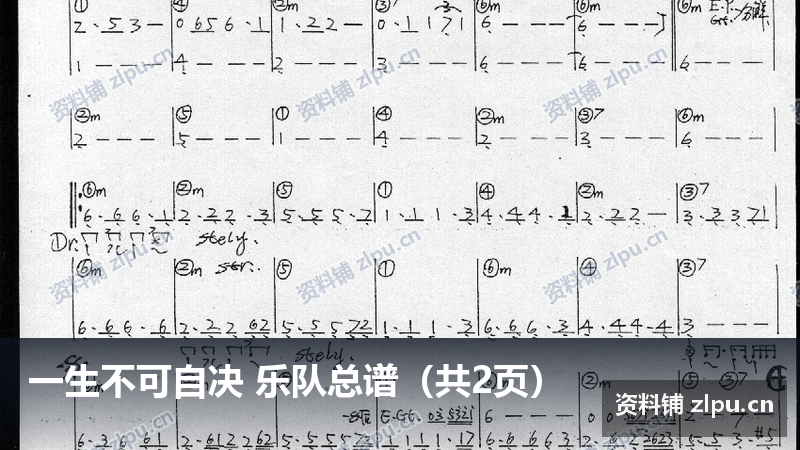一生不可自决 乐队总谱（共2页）-资料铺