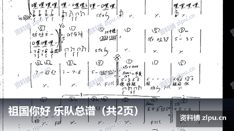 祖国你好 乐队总谱（共2页）-资料铺