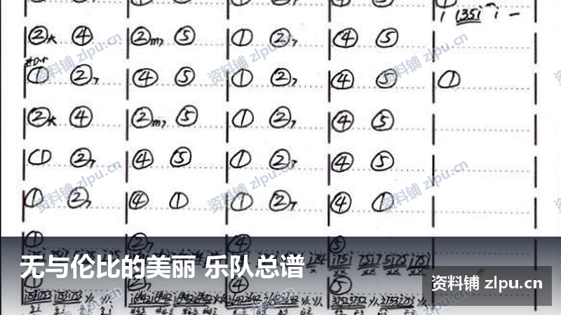 无与伦比的美丽 乐队总谱-资料铺
