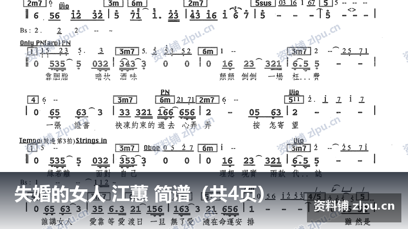 失婚的女人 江蕙 简谱（共4页）-资料铺