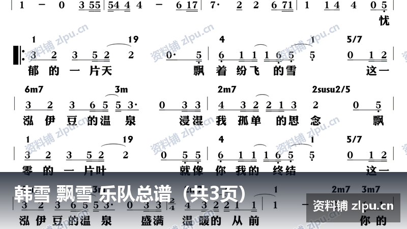 韩雪 飘雪 乐队总谱(共3页)-资料铺