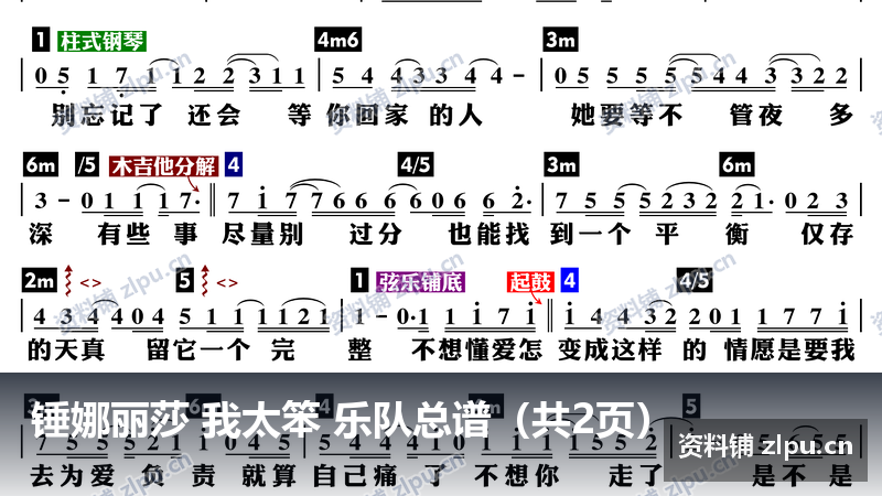 锤娜丽莎 我太笨 乐队总谱（共2页）-资料铺