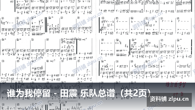 谁为我停留 – 田震 乐队总谱(共2页)-资料铺