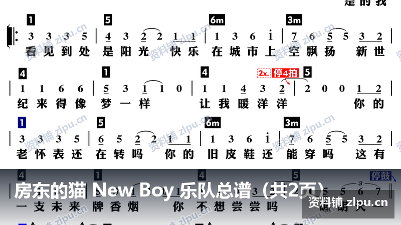 房东的猫 New Boy 乐队总谱(共2页)-资料铺