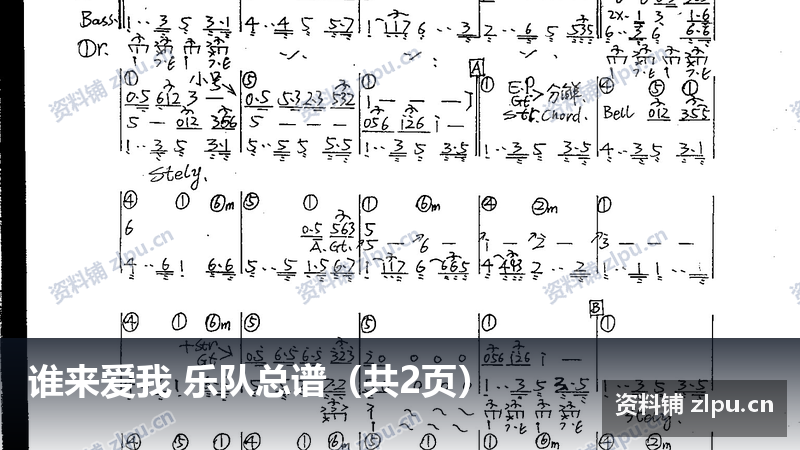 谁来爱我 乐队总谱(共2页)-资料铺