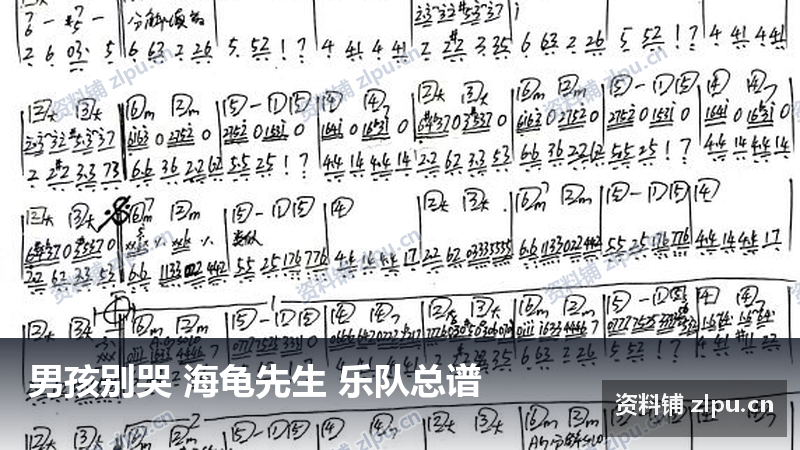 男孩别哭 海龟先生 乐队总谱-资料铺