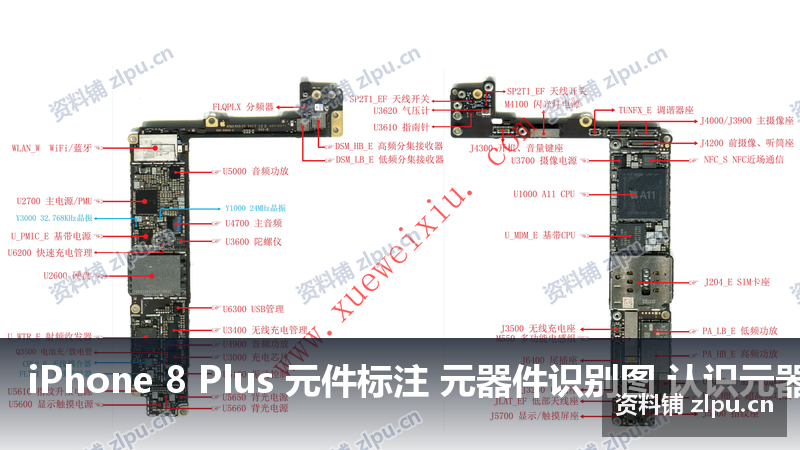 iPhone 8 Plus 元件标注 元器件识别图 认识元器件原理图插图 iPhone 8 Plus 元件标注 元器件识别图 认识元器件原理图