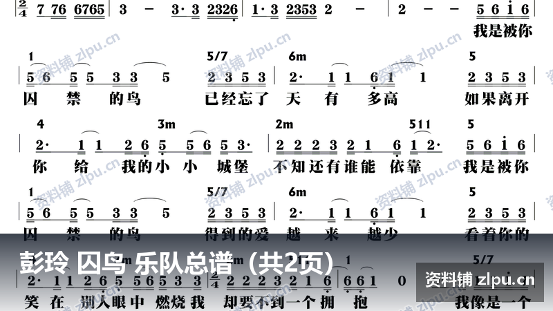 彭玲 囚鸟 乐队总谱（共2页）-资料铺
