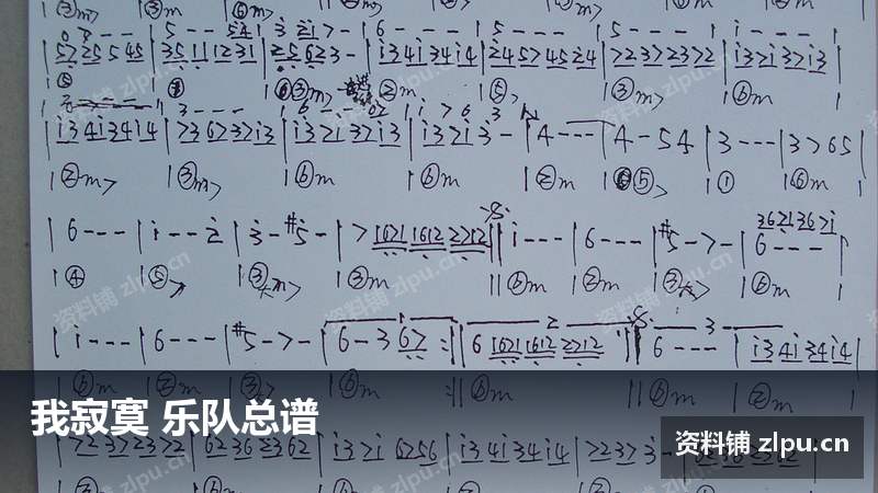 我寂寞 乐队总谱-资料铺