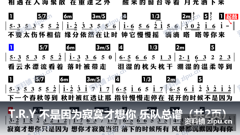 T.R.Y 不是因为寂寞才想你 乐队总谱(共2页)-资料铺