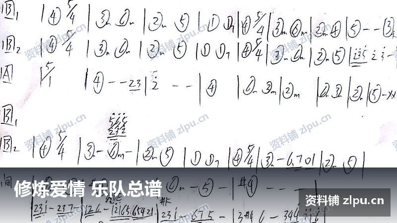 修炼爱情 乐队总谱-资料铺