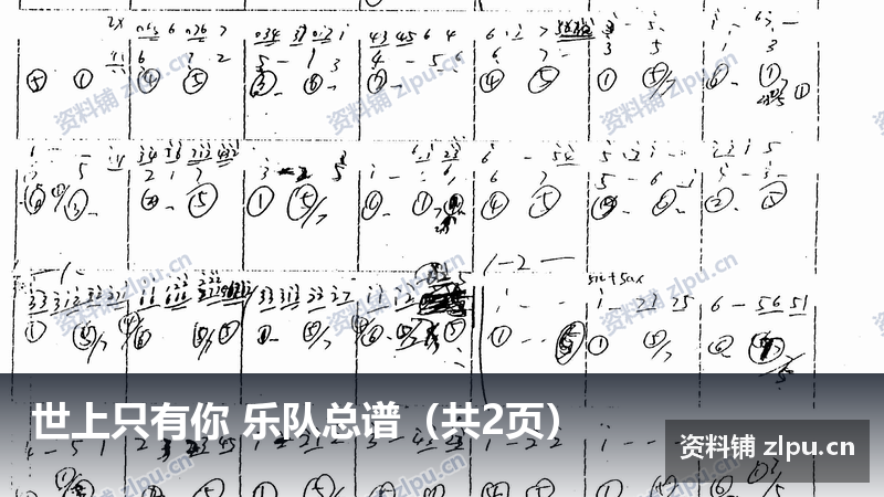 世上只有你 乐队总谱(共2页)-资料铺