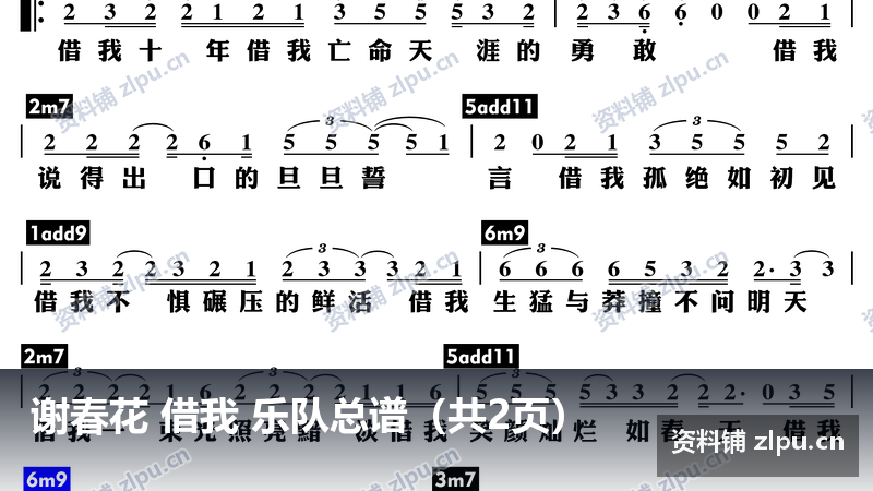 谢春花 借我 乐队总谱(共2页)-资料铺
