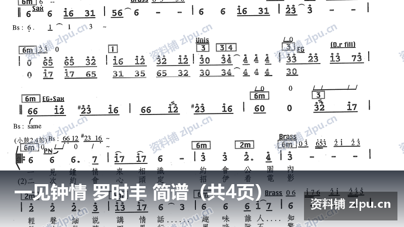 一见钟情 罗时丰 简谱（共4页）-资料铺