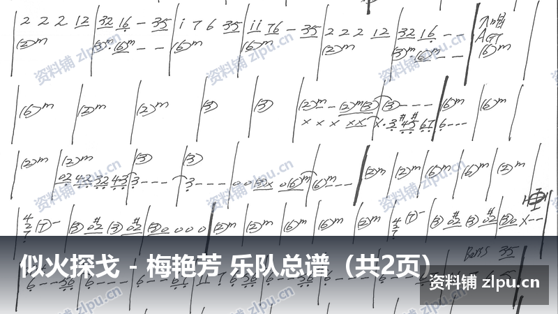 似火探戈 – 梅艳芳 乐队总谱(共2页)-资料铺