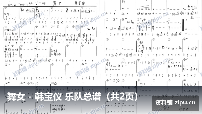 舞女 - 韩宝仪 乐队总谱（共2页）-资料铺