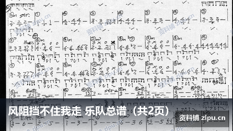 风阻挡不住我走 乐队总谱（共2页）-资料铺