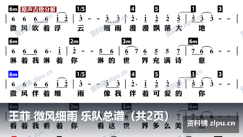 王菲 微风细雨 乐队总谱（共2页）-资料铺