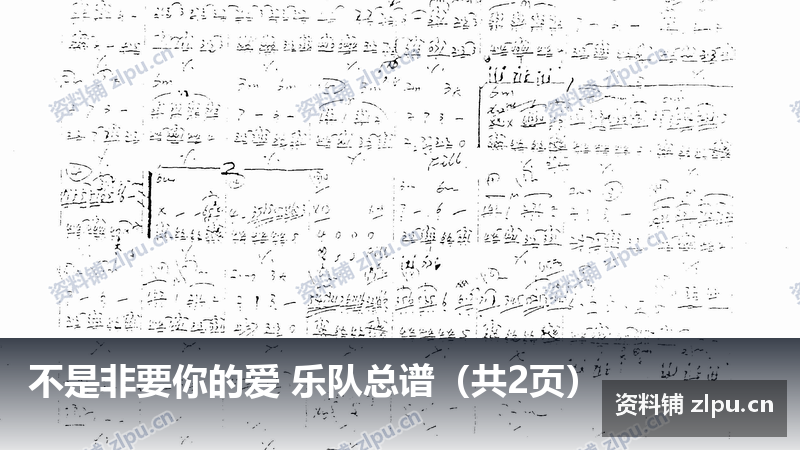 不是非要你的爱 乐队总谱（共2页）-资料铺