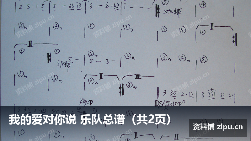 我的爱对你说 乐队总谱（共2页）-资料铺