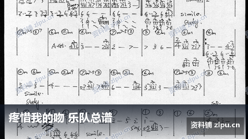 疼惜我的吻 乐队总谱-资料铺