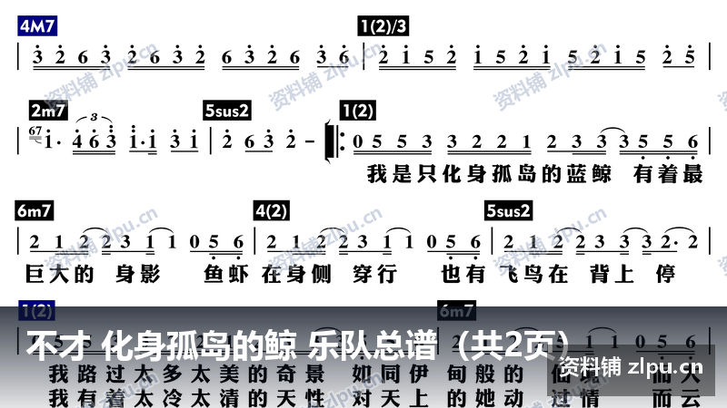 不才 化身孤岛的鲸 乐队总谱（共2页）-资料铺