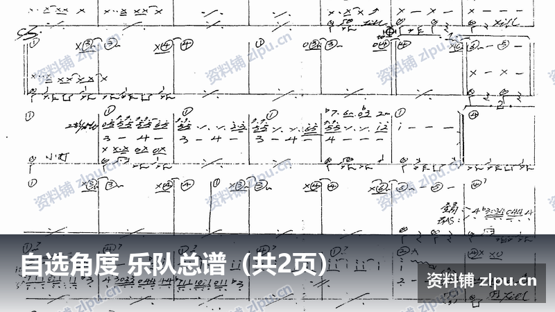 自选角度 乐队总谱（共2页）-资料铺
