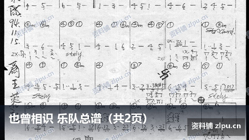 也曾相识 乐队总谱（共2页）-资料铺