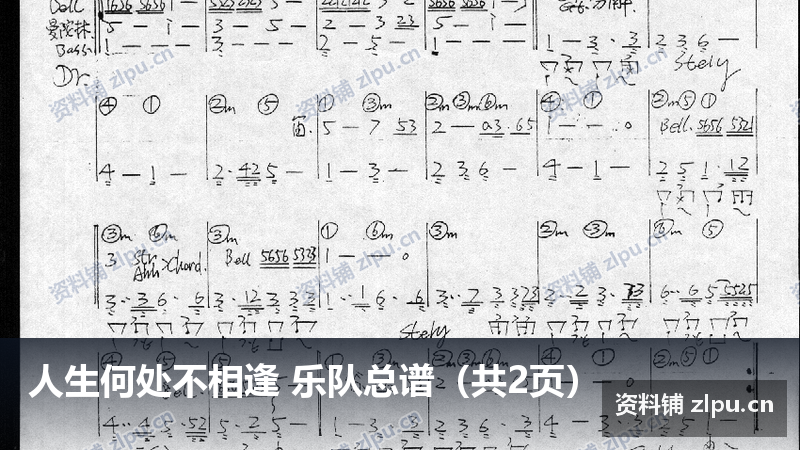 人生何处不相逢 乐队总谱（共2页）-资料铺