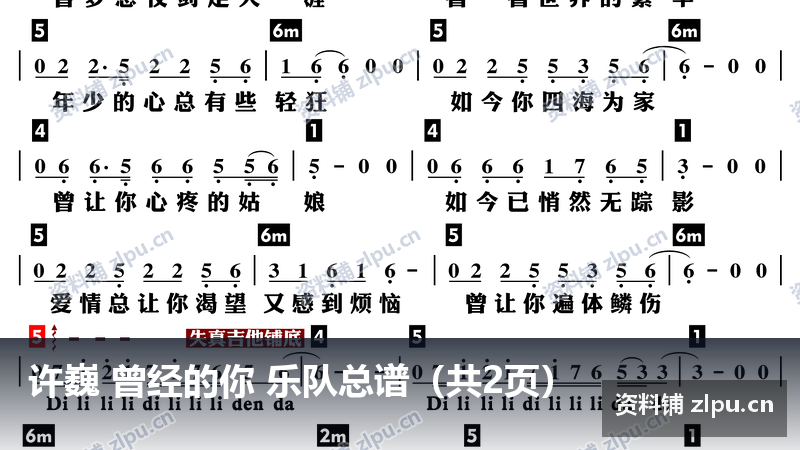 许巍 曾经的你 乐队总谱(共2页)-资料铺