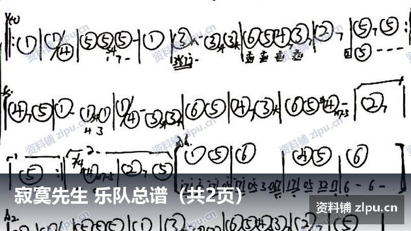 寂寞先生 乐队总谱（共2页）-资料铺