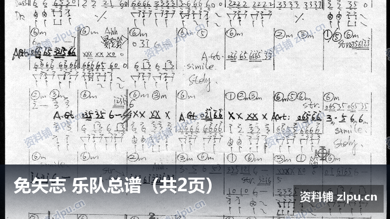 免矢志 乐队总谱（共2页）-资料铺
