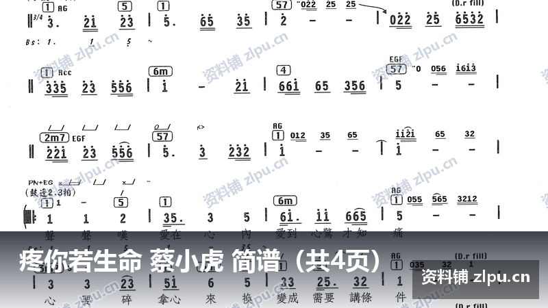 疼你若生命 蔡小虎 简谱（共4页）-资料铺