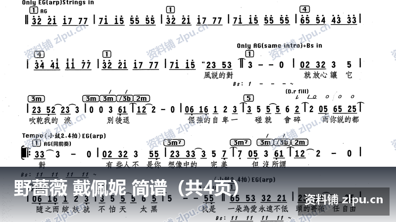 野薔薇 戴佩妮 简谱（共4页）-资料铺