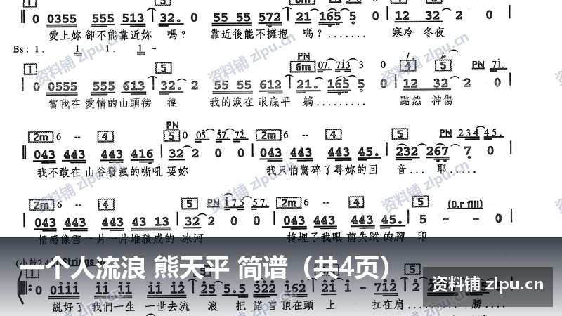 一个人流浪 熊天平 简谱（共4页）-资料铺